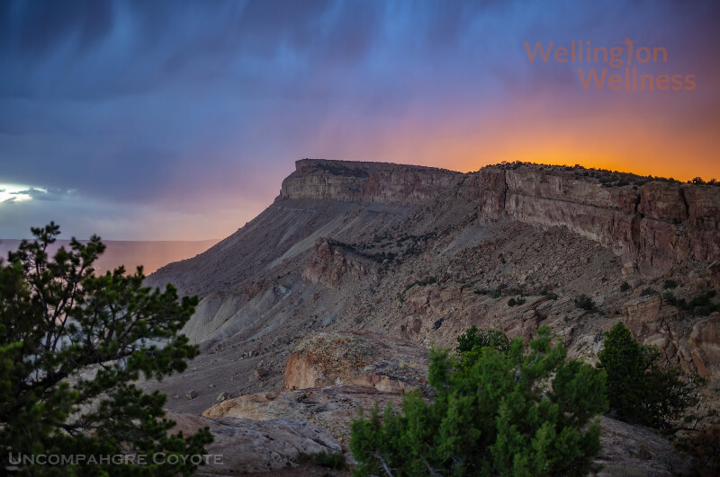 Wellington Wellness GJ CO 62 Grand Mesa Sunset