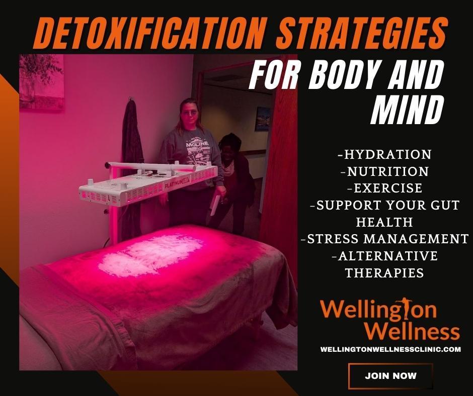 At Wellington Wellness Clinic, we recommend a combination of strategies to achieve a thorough and sustainable detox. 