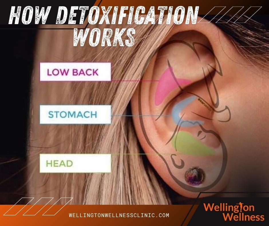 Detoxification involves more than simply eliminating toxins from the body.