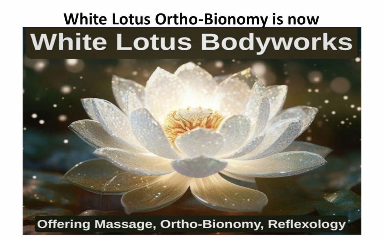 White Lotus Bodyworks